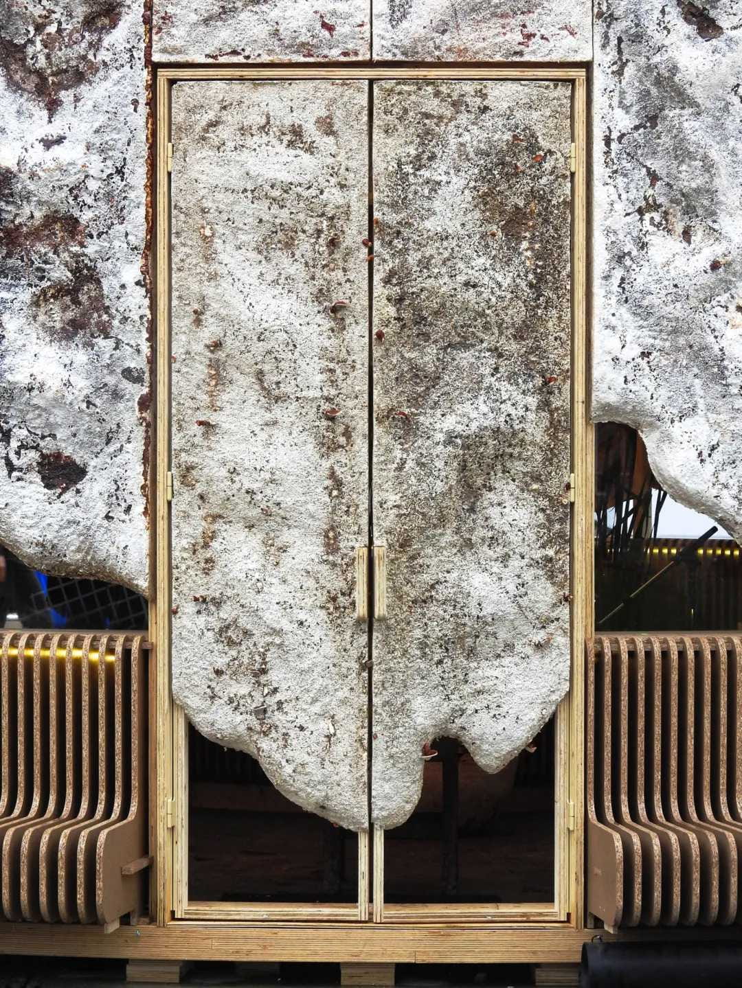 Mycelium-art-techniques