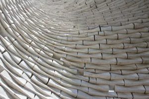 Sculpting-with-Fungal-Biomaterials