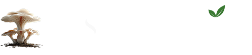 Myco DIY LOGO