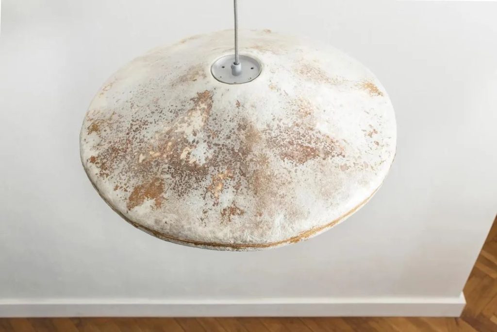 Mycelium Lampshade