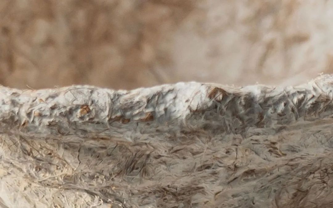 Mycelium material