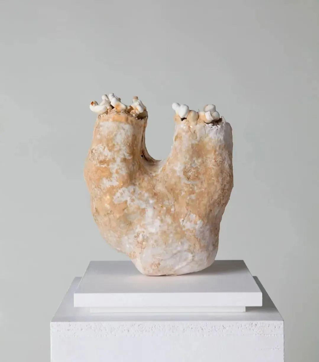 Mycelium Sculpture