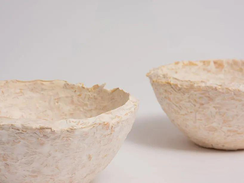 Mycelium Containers