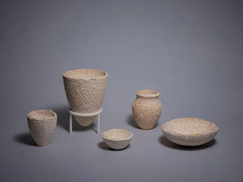 Mycelium Containers