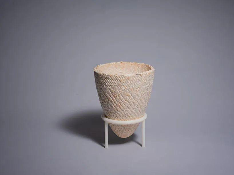 Mycelium Containers