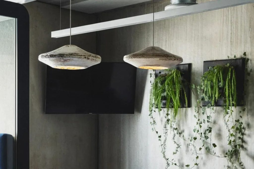 Mycelium Lampshade