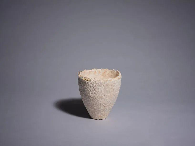 Mycelium Containers