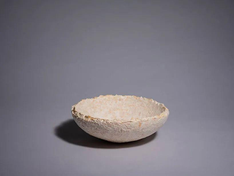 Mycelium Containers