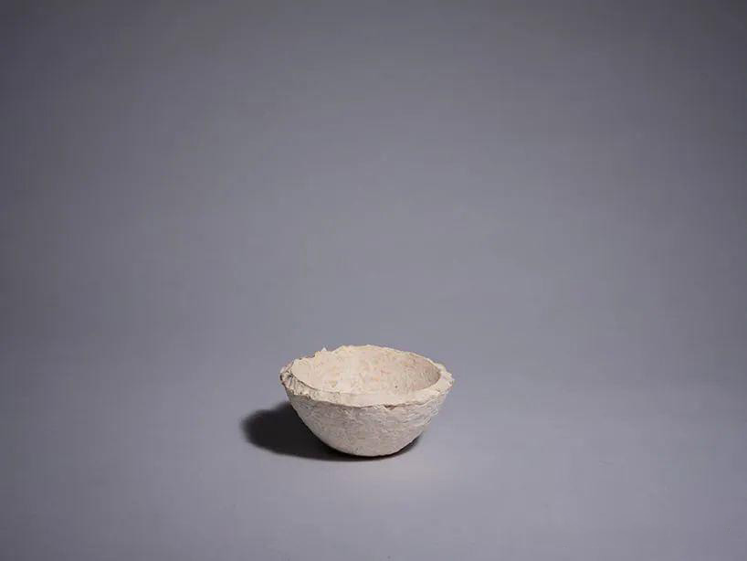 Mycelium Containers