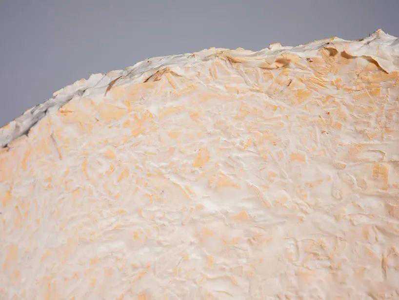 Mycelium material