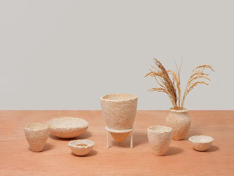 Mycelium material