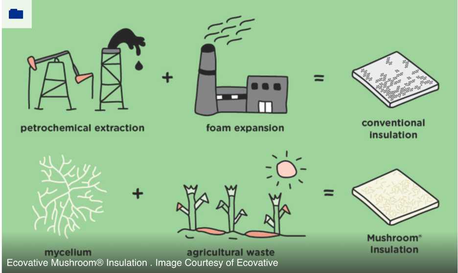 Biodegradability