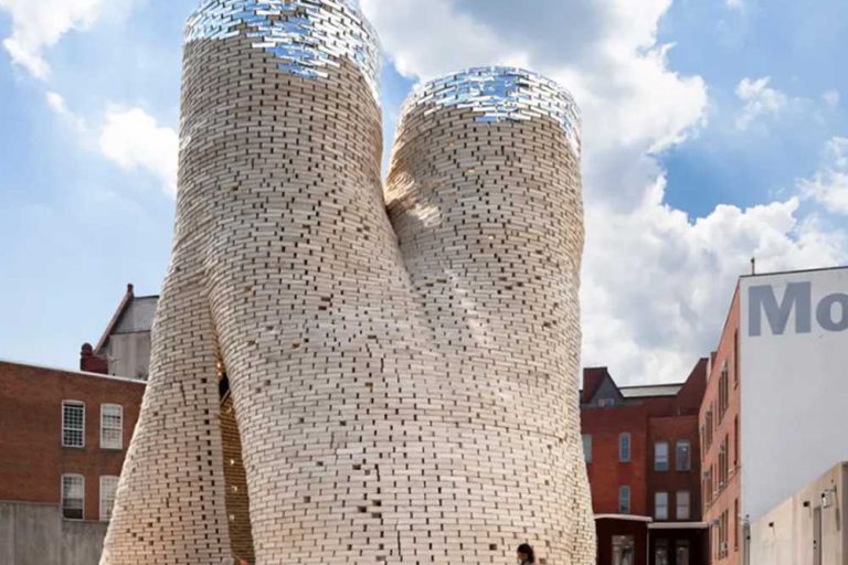 Mycelium mushroom bricks