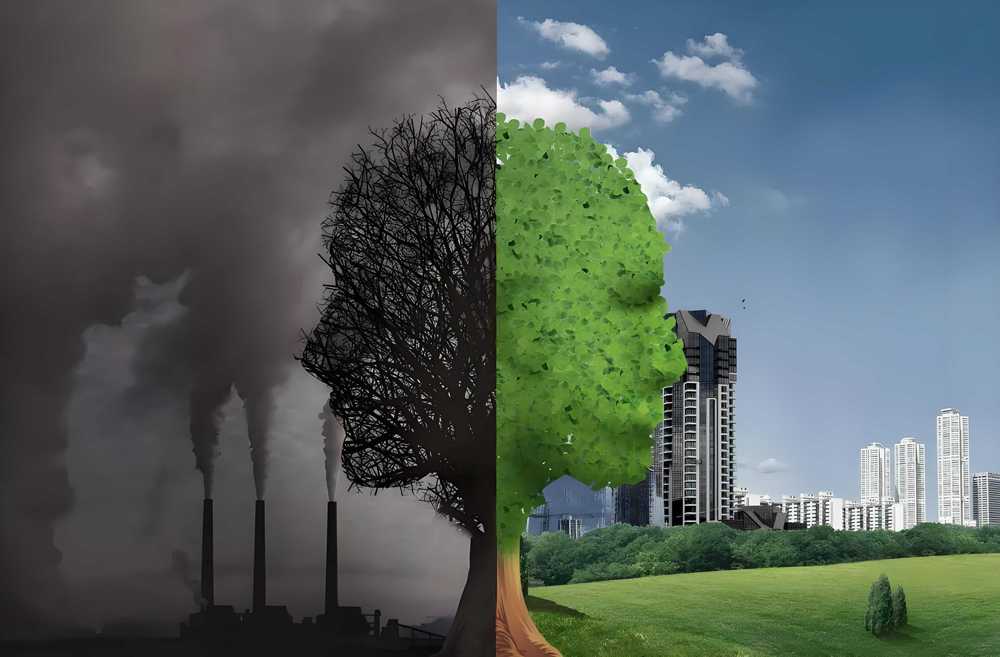 deforestation