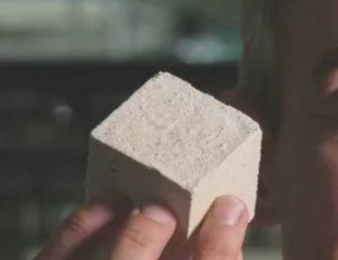 mycelium composites